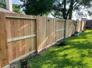 Pine Lumber - Fencing Application